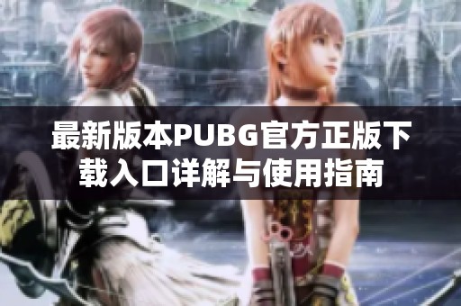 最新版本PUBG官方正版下载入口详解与使用指南