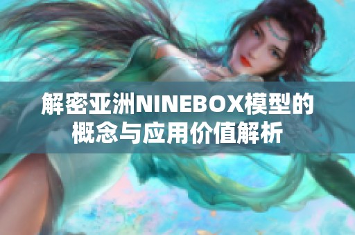 解密亚洲NINEBOX模型的概念与应用价值解析