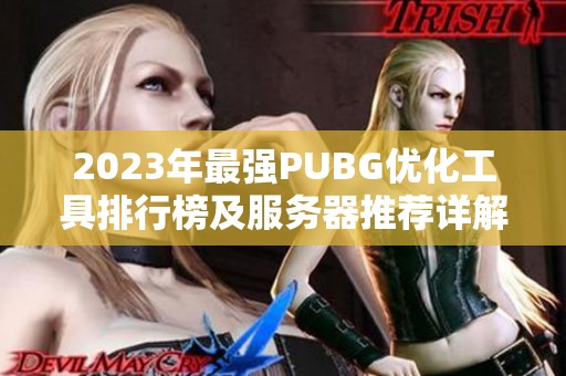 2023年最强PUBG优化工具排行榜及服务器推荐详解