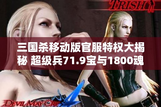 三国杀移动版官服特权大揭秘 超级兵71.9宝与1800魂使用指南