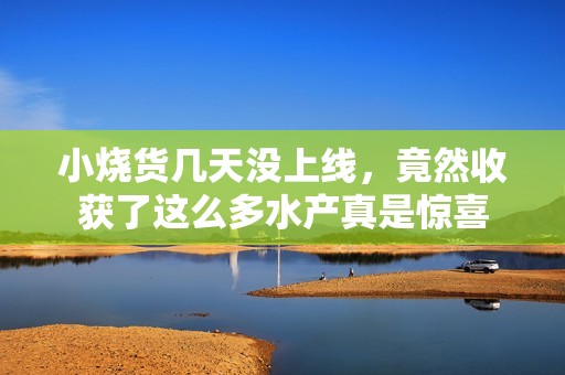 小烧货几天没上线，竟然收获了这么多水产真是惊喜