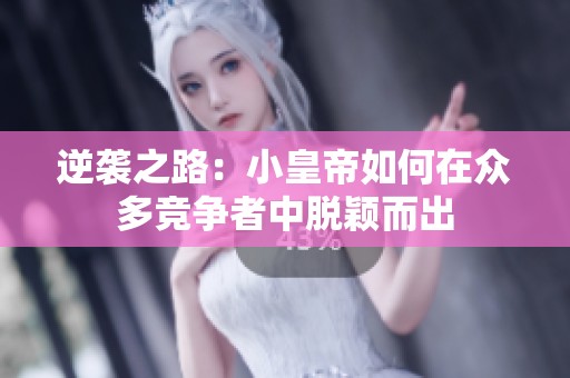 逆袭之路：小皇帝如何在众多竞争者中脱颖而出