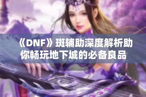 《DNF》斑辅助深度解析助你畅玩地下城的必备良品