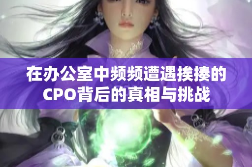 在办公室中频频遭遇挨揍的CPO背后的真相与挑战