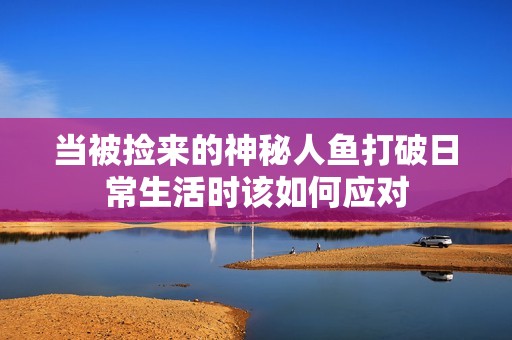 当被捡来的神秘人鱼打破日常生活时该如何应对