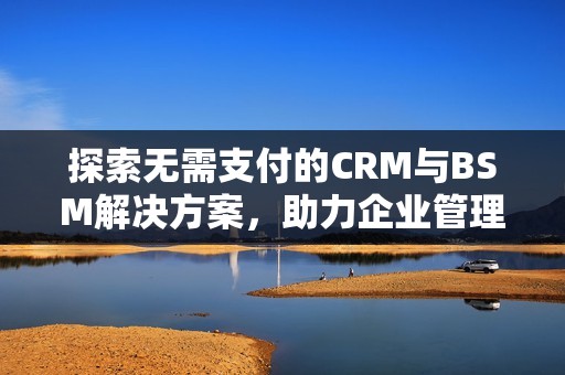 探索无需支付的CRM与BSM解决方案，助力企业管理提升