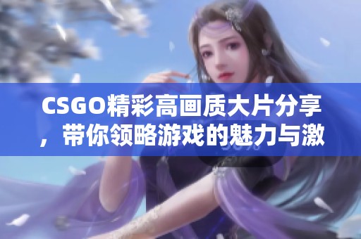 CSGO精彩高画质大片分享，带你领略游戏的魅力与激情