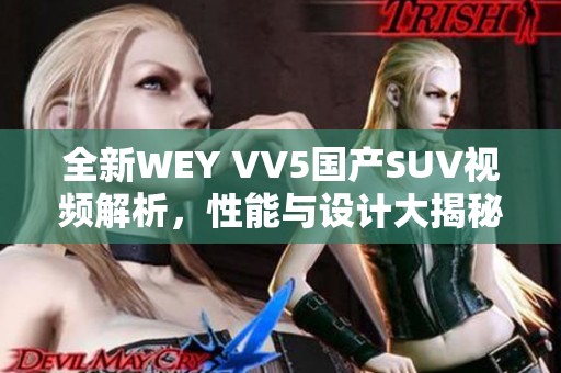 全新WEY VV5国产SUV视频解析，性能与设计大揭秘