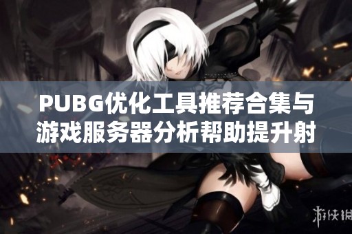 PUBG优化工具推荐合集与游戏服务器分析帮助提升射击体验