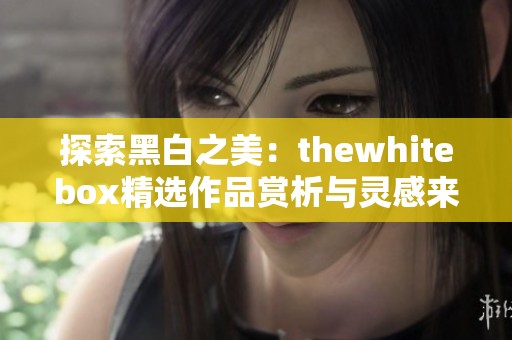 探索黑白之美：thewhitebox精选作品赏析与灵感来源