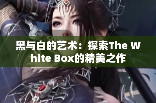 黑与白的艺术：探索The White Box的精美之作