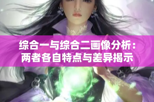 综合一与综合二画像分析：两者各自特点与差异揭示