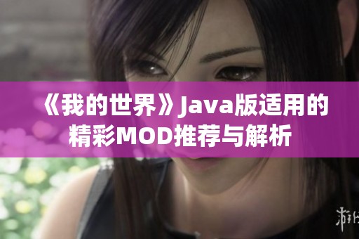 《我的世界》Java版适用的精彩MOD推荐与解析