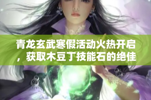 青龙玄武寒假活动火热开启，获取木豆丁技能石的绝佳机会！