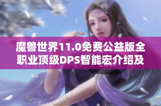 魔兽世界11.0免费公益版全职业顶级DPS智能宏介绍及熊T攻略分享