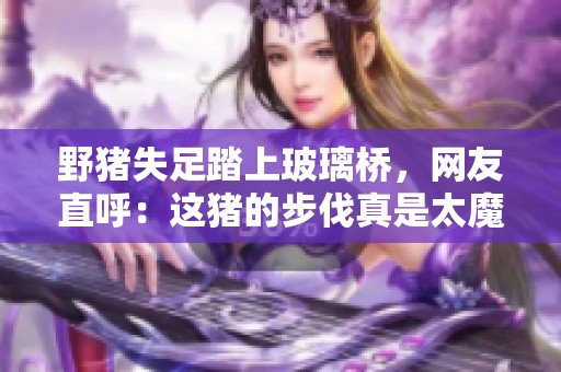 野猪失足踏上玻璃桥，网友直呼：这猪的步伐真是太魔幻了！