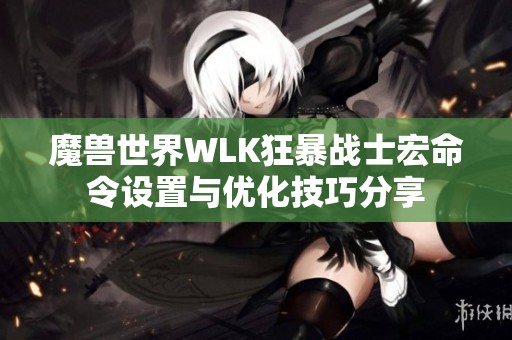 魔兽世界WLK狂暴战士宏命令设置与优化技巧分享