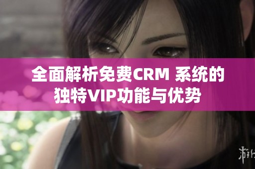 全面解析免费CRM 系统的独特VIP功能与优势