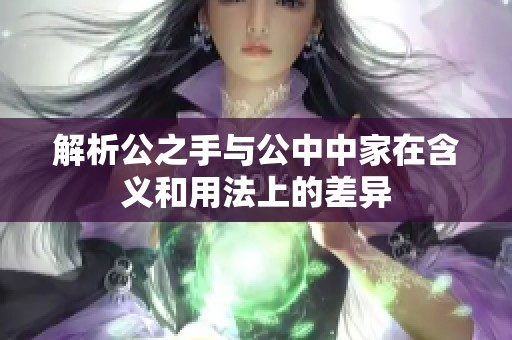 解析公之手与公中中家在含义和用法上的差异