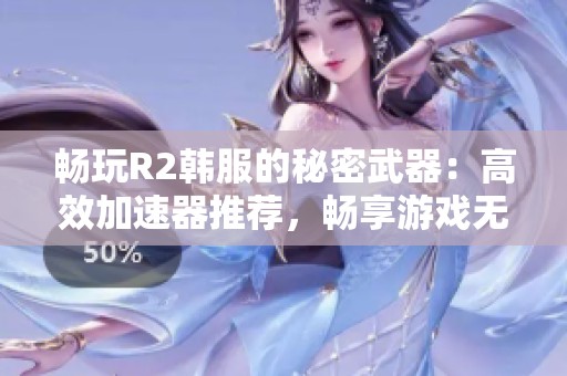 畅玩R2韩服的秘密武器：高效加速器推荐，畅享游戏无阻碍