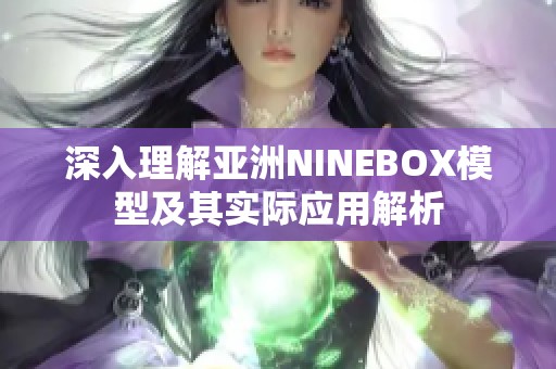 深入理解亚洲NINEBOX模型及其实际应用解析