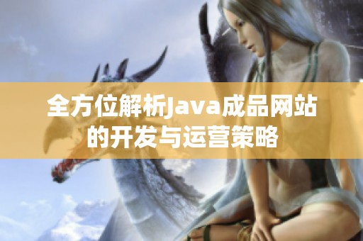 全方位解析Java成品网站的开发与运营策略