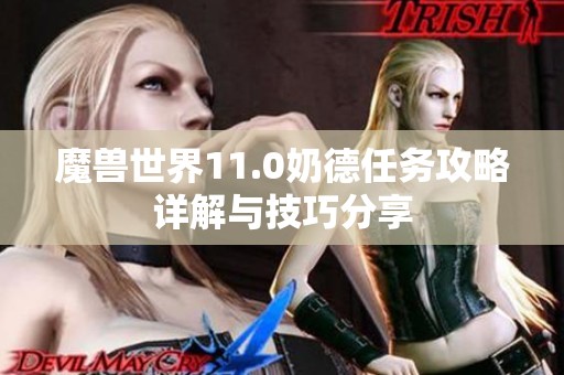 魔兽世界11.0奶德任务攻略详解与技巧分享