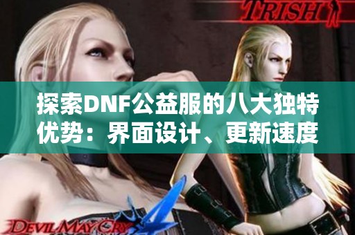 探索DNF公益服的八大独特优势：界面设计、更新速度与资源的丰富多样性