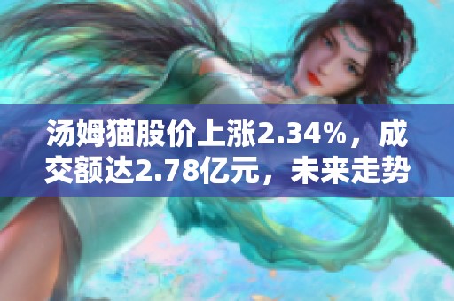 汤姆猫股价上涨2.34%，成交额达2.78亿元，未来走势如何分析？