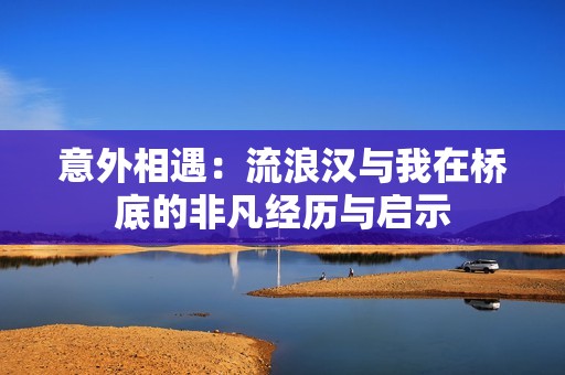 意外相遇：流浪汉与我在桥底的非凡经历与启示