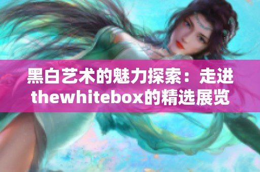 黑白艺术的魅力探索：走进thewhitebox的精选展览