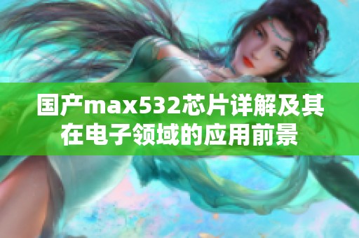 国产max532芯片详解及其在电子领域的应用前景