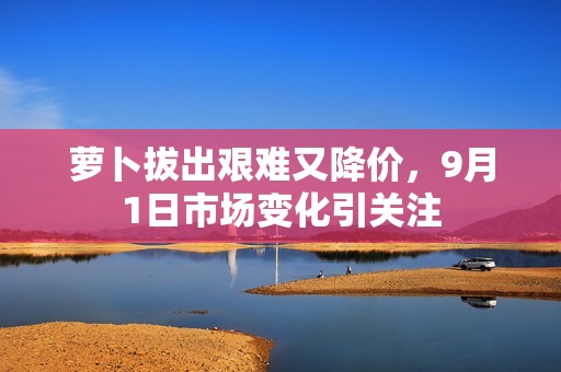 萝卜拔出艰难又降价，9月1日市场变化引关注