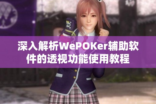 深入解析WePOKer辅助软件的透视功能使用教程