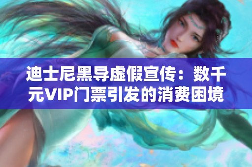 迪士尼黑导虚假宣传：数千元VIP门票引发的消费困境