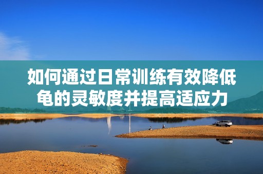 如何通过日常训练有效降低龟的灵敏度并提高适应力