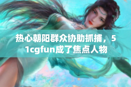 热心朝阳群众协助抓捕，51cgfun成了焦点人物