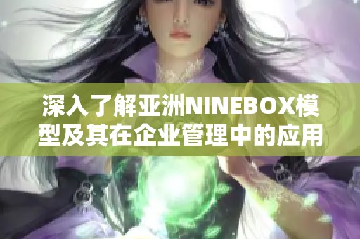 深入了解亚洲NINEBOX模型及其在企业管理中的应用