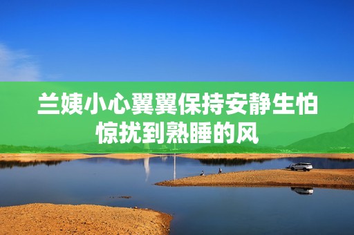 兰姨小心翼翼保持安静生怕惊扰到熟睡的风
