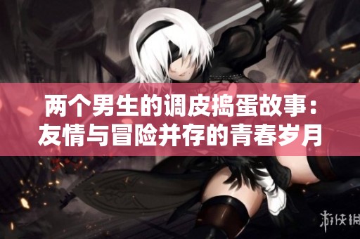 两个男生的调皮捣蛋故事：友情与冒险并存的青春岁月