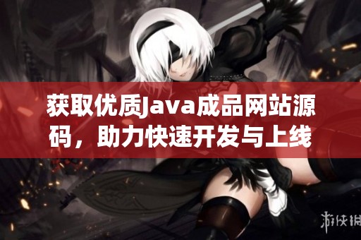 获取优质Java成品网站源码，助力快速开发与上线