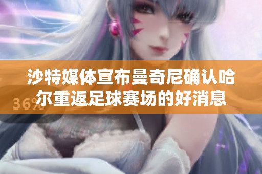 沙特媒体宣布曼奇尼确认哈尔重返足球赛场的好消息