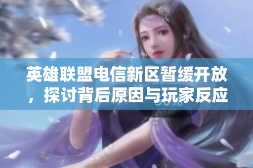 英雄联盟电信新区暂缓开放，探讨背后原因与玩家反应