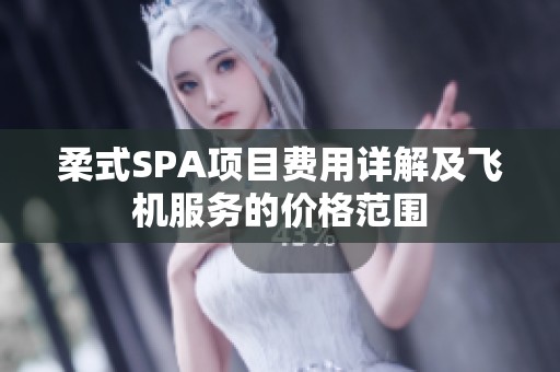 柔式SPA项目费用详解及飞机服务的价格范围