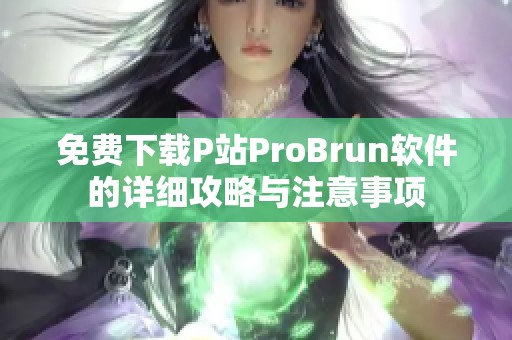 免费下载P站ProBrun软件的详细攻略与注意事项