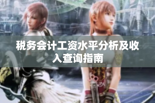 税务会计工资水平分析及收入查询指南