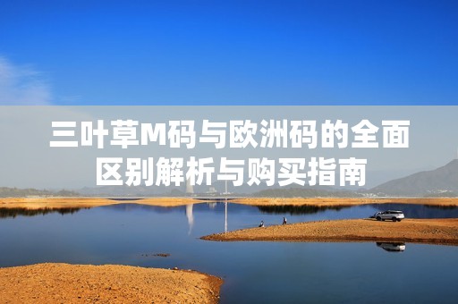 三叶草M码与欧洲码的全面区别解析与购买指南