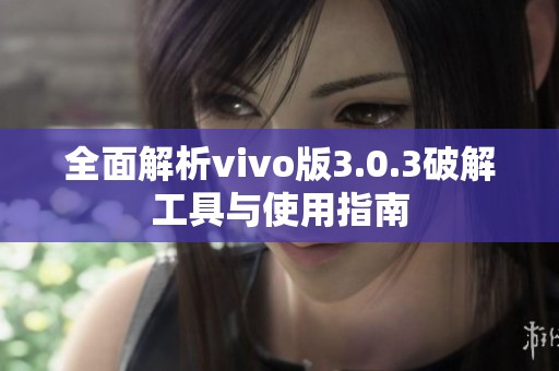 全面解析vivo版3.0.3破解工具与使用指南