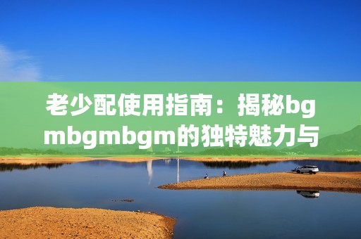 老少配使用指南：揭秘bgmbgmbgm的独特魅力与技巧