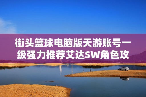 街头篮球电脑版天游账号一级强力推荐艾达SW角色攻略